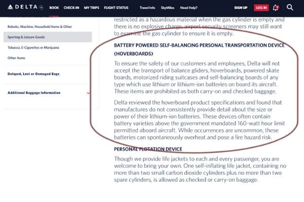 Delta Airlines Policy